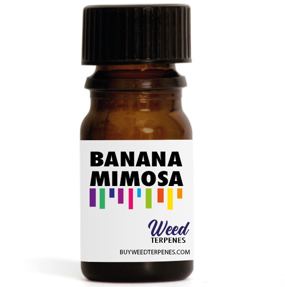 Banana Mimosa Terpene