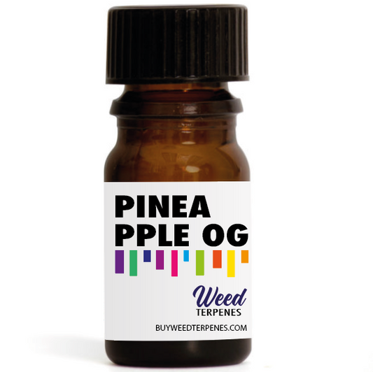 Pineapple OG Terpene