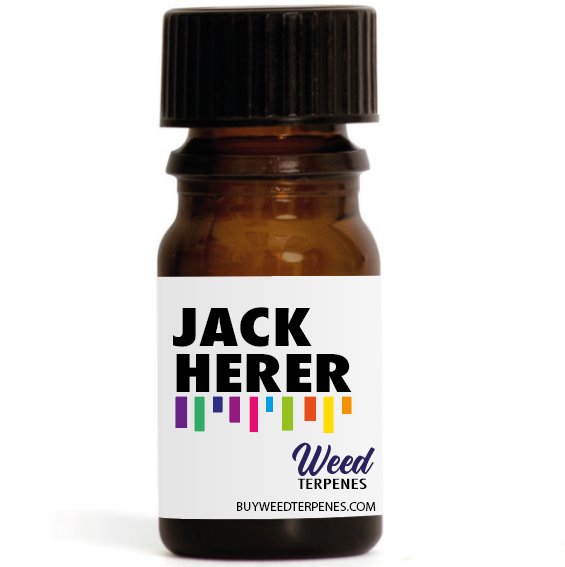 Jack Herer Terpene – Weed Terpenes