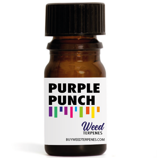 Purple Punch Terpenes