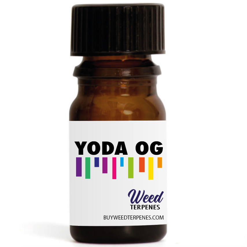 Yoda OG – Weed Terpenes