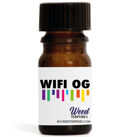 WIFI OG Terpene